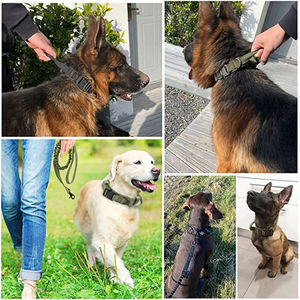 ชุดปลอกคอและสายจูงสุนัข Qbellpet แบบทนทาน หัวเข็มขัดโลหะ ปลอกคอและสายจูงปรับได้ สำหรับสุนัขขนาดกลางและขนาดใหญ่ อุปกรณ์สำหรับสุนัข - Product Image 5
