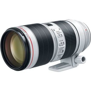 Top Notch EF 70-200mm F/2.8L IS III USM - Product Image 1