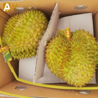 Thaise Monthong Durian, Graad A, 0,5 kg, zoet en rijk, perfect rijp voor een luxueus exotisch smaakavontuur, verpakt voor versheid.