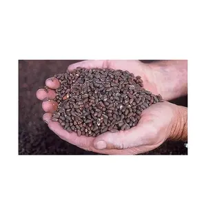 Commercio all'ingrosso miglior prezzo fornitore di semi di cotone biologico grezzo organico spedizione veloce