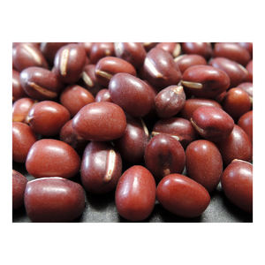 ขายถั่ว Vigna Adzuki - Product Image 5