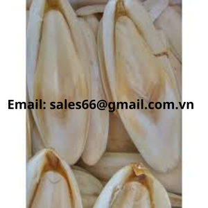 Os de seiche pour aliments pour animaux de compagnie à bas prix-Viet Nam seiches séchées de haute qualité-os de seiche/Mme LiLy + 84906927736 - Product Image 5