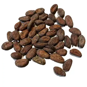 Acheter fèves de cacao séchées en sacs de 50kg, fèves de cacao torréfiées biologiques, fèves de cacao crues séchées au soleil à vendre