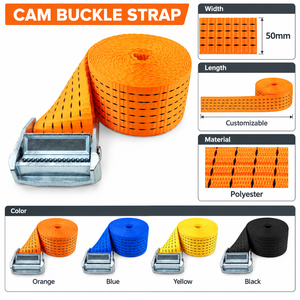Sangle d'arrimage à boucle à came en polyester de 50 mm, 800 kg, sans crochet, pour le maintien de la cargaison des remorques, usage intensif, fabrication OEM - Product Image 4