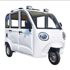 Nouveaux tricycles électriques pour adultes 60V 1500W EEC entièrement fermés à 3 roues - Product Image 1
