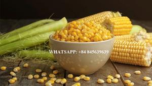 Maíz Dulce Congelado IQF, Granos de Maíz Cortados - Compre Maíz Dulce Congelado al Mejor Precio - Product Image 2