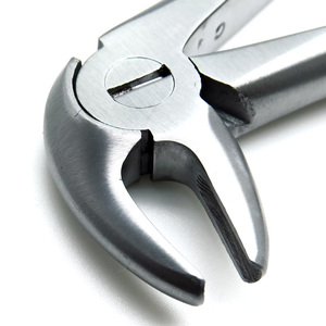Les dents inférieures de forceps d'extraction d'hydromel MD3 enracine les instruments chirurgicaux dentaires - Product Image 3