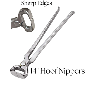 Pinza de pezuña veterinaria Manual Premium para caballos, herramienta de herrador de acero inoxidable de alta calidad, recorte de pezuña equina duradero - Product Image 6