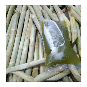 Tallos de caña de azúcar congelados al por mayor-Granja-Frescos, convenientemente empaquetados para restaurantes, cafeterías y distribuidores - Product Image 6