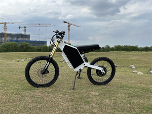Vélo électrique tout-terrain prêt à être expédié, moteur arrière SS30 3000W 48V, pneus larges 19 pouces, vitesse élevée 80 km/h, autonomie 80 km - Livraison à domicile - Product Image 4
