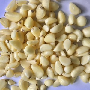 Ail pelé d'origine du Vietnam pour la cuisson de l'ail pelé au meilleur prix vacances - Product Image 6