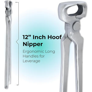 ที่ตัดกีบม้าสแตนเลสสำหรับสัตวแพทย์ สำหรับดูแลกีบม้า ทนทาน ใช้ในงานตัดแต่งกีบม้า มีขนาดและคุณภาพตามสั่ง - Product Image 5