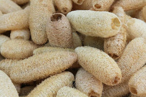 Esponja Vegetal Vietnamita Auténtica de la Granja al Spa, Libre de Químicos y Biodegradable, Ms.May - Product Image 6