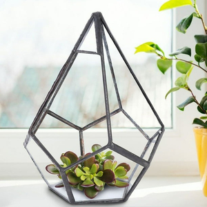 Meilleure vente Verre clair à revêtement noir Forme triangulaire Terrarium géométrique Plantes d'air en verre Décoration Plantes de mousse de jardin - Product Image 2