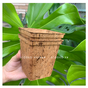 2025 Venta caliente Eco2go Vietnam Macetas de fibra de coco Jardinería doméstica de Eco2go Vietnam - Product Image 5