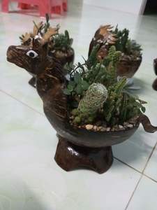 El mejor vendedor vietnamita proporciona animales de cáscara de coco multifuncionales con un diseño sofisticado y alta durabilidad - Product Image 5