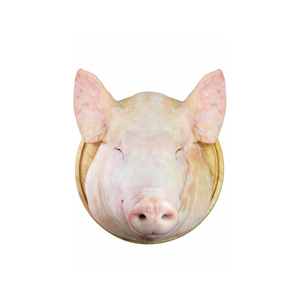 ราคาโรงงานเนื้อหมูหัวแช่แข็งขายราคาไม่แพง 100% คุณภาพสูงหัวหมูแช่แข็ง หัวหมูแช่แข็งมีจําหน่าย - Product Image 2
