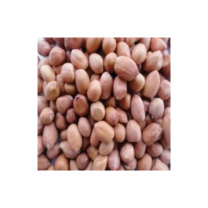 Arachides crues biologiques de haute qualité séchées et rôties avec de l'arachide de coquille de saveur d'ail - Product Image 5