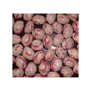 Haricots rouges de haute qualité forme longue à vendre (prix réduit) Haricots sucrés en gros - Product Image 4