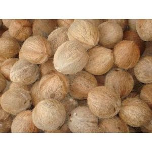 มะพร้าวอ่อนเกรดพรีเมียมสำหรับส่งออก คุณภาพเยี่ยม สดใหม่ พร้อมเปลือกและเนื้อ ผลิตในอินโดนีเซีย จัดเก็บในห้องเย็น สำหรับผู้ซื้อทั่วโลก - Product Image 4