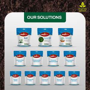 Traitement de la solution de poudre de maladie des taches foliaires - Product Image 5