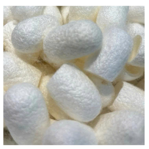 Authentique cocon de ver à soie naturel jaune blanc cocon de ver à soie brut de qualité supérieure idéal pour les produits à base de plantes et textiles en fil de soie - Product Image 1