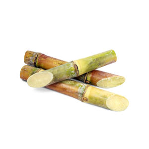 Canne à sucre naturelle de haute qualité pour la production de sirops et de mélasse de canne Origine belge - Product Image 3