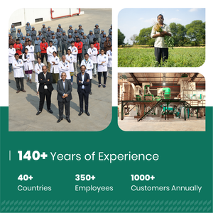 Extracto Herbal de Rizoma de Jengibre (Zingiber Officinale) 5% de Gingeroles por UV - Product Image 2