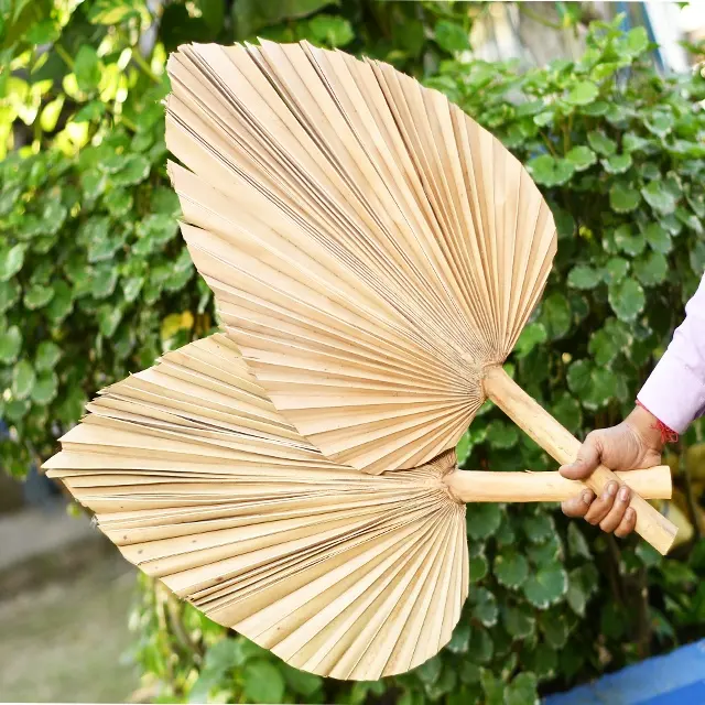 Palmblätter Dekoration getrocknete Farbe Palmblätter für Hochzeit Palmen speer mit verschiedenen Farben und Formen nach Hause dekretives Produkt