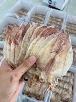 Calmar séché du Vietnam de haute qualité et au meilleur prix