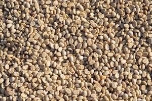 Café Arábigo Tostado de Vietnam, Precio al por Mayor, Gran Cantidad, Directo de Fábrica, Café Fuerte, OEM, Aroma Rico a Chocolate, Exportación - Product Image 4