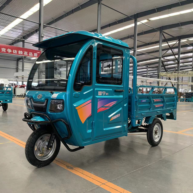 Adult 1000W Electric Enclosed Cargo Trike 3-Wheel Motorized Tricycle for Passengers