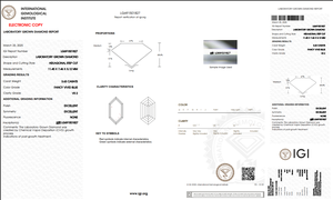Meilleure qualité VS2 Lab a créé des diamants en vrac IGI certifié HEXAGONAL Cut 3.63 CT Fancy Vivid Blue Color CVD Grown RJ Diamond pour - Product Image 2