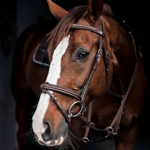 สายหนังสำหรับนักขี่ม้าสายผลิตภัณฑ์ - Product Image 1