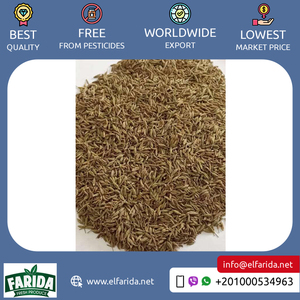 2024 Top vente excellente qualité 100% pur séché cru épices simples produit égyptien graines de cumin pour l'achat en gros - Product Image 5