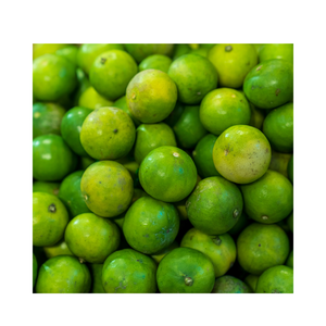 Top Reliable Seller Provide High Quality Fresh Lemon/ Wholesale Fresh Seedless <b>Limes</b>, Hot Sales Fresh Seedless <b>Lime</b> - Product Image 6
