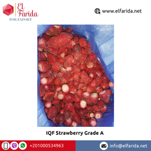 ผลไม้แช่แข็งจากธรรมชาติเกรดไอคิวเอฟสตรอเบอร์รี่เกรดเอรสชาติดีระดับพรีเมี่ยม - Product Image 6