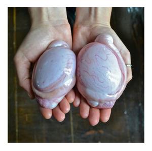 Testículos de Res Congelados - Calidad Premium, Certificación Halal, Ricos en Proteínas, 100% Naturales - Product Image 1