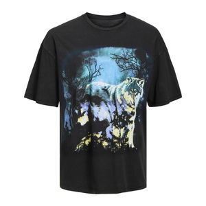 Unisexe Personnalisé 4 Couleurs CMJN Sérigraphie 200 Grammes 100% Coton Casual Street Wear Tricoté Jersey Hommes Femmes Coton - Product Image 1