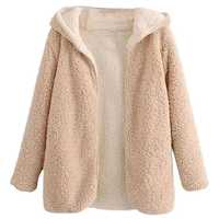 Manteau à capuche en fausse fourrure de mouton pour femme, printemps, automne, hiver, fermeture éclair, respirant, épais, décontracté, chaud, manches régulières, streetwear