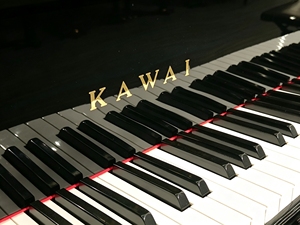เปียโนแกรนด์ Kawai รุ่น 350 88 คีย์ คีย์บอร์ดไม้แท้แบบถ่วงน้ำหนัก สไตล์คลาสสิก สำหรับมืออาชีพ แบบตั้งพื้น - Product Image 2