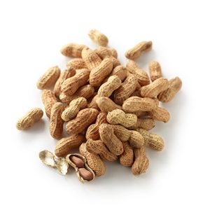 TOP QUALITY <strong>PEANUT</strong> for SALE / <strong>PEANUT</strong> Available/GROUNDNUT/ HOT SELLING <strong>PEANUT</strong> Available at Wholesale Prices - Product Image 2
