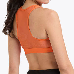 Soutien-gorge de sport féminin respirant soutien-gorge de sport de yoga pour femmes sans couture femmes vêtements de sport soutien-gorge de sport à vendre - Product Image 4