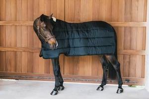 Couverture pour cheval de haute qualité respirante au design personnalisé à bas prix, couverture pour cheval d'hiver imperméable 100% polyester - Product Image 4