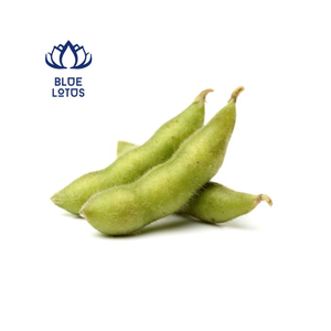 Meilleure vente de soja vert glacé-haute qualité et meilleur prix du Vietnam - Product Image 1