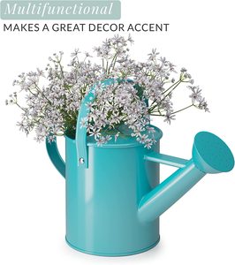 Pichet à eau de jardin en acier plaqué cuivre vert durable Buse amovible pour la plantation intérieure et extérieure Outils de jardinage de qualité - Product Image 3