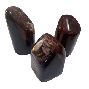 Cristal de Madera Petrificada Natural de Forma Libre |   Modelo de Ángel de Madera Fósil Pulida para Decoración del Hogar, Sanación Energética y Conexión con la Tierra - Product Image 1