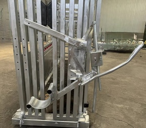Chute hydraulique d'écrasement <span class=keywords><strong>de</strong></span> compression d'équipement <span class=keywords><strong>de</strong></span> manipulation <span class=keywords><strong>de</strong></span> bétail <span class=keywords><strong>de</strong></span> haute performance avec le cadre galvanisé pour l'usage <span class=keywords><strong>de</strong></span> ferme et le contrôle <span class=keywords><strong>de</strong></span> grossesse - Product Image 4
