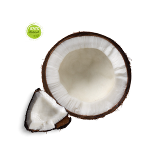 Solutions d'emballage innovantes pour les produits en coquille de noix de coco séchés de style frais - Product Image 5