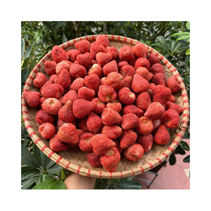 Chips de fraises lyophilisées, matière première : fruits entiers ; utilisation : décoration de desserts ; origine : fabricant de fruits secs du Vietnam - Product Image 4